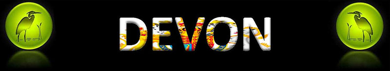 devoncountryside banner